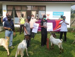 Bantuan Hewan Qurban Coca-Cola Europacific Partners Indonesia Dorong Optimisme Kemandirian Ekonomi Di Masa Pandemi