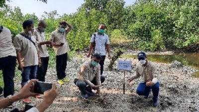 Cegah Abrasi, KPw BI Provinsi Lampung Bersama 20 Wartawan Tanam Mangrove di Pantai Lampung Selatan