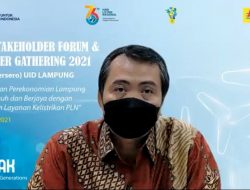 Gubernur Lampung Apresiasi Kerja Keras dan Kemudahan Layanan Kelistrikan PLN