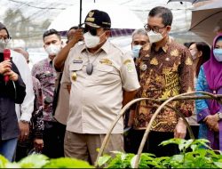 Rayakan 50 Tahun di Indonesia, Nestle Perkuat Kemitraan Untuk Perkebunan Kopi Berkelanjutan    