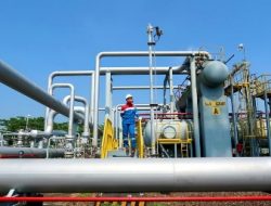 PGN Subholding Gas Pertamina dan PIM Kembangkan Bisnis Berbasis Gas Dukung Penurunan Emisi Karbon