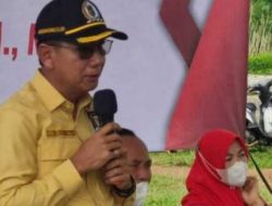 DPRD Lampung Akan Lakukan Peninjauan Terkait Harga Singkong