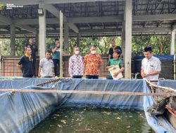 Kakanwil Sudjonggo Tinjau Langsung Budidaya Ikan Sistem Kolam Bioflok dan Area Pesawahan di Lapas Karawang