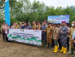 Puslatpurmar 8 Teluk Ratai Turut Penanaman Mangrove Nasional