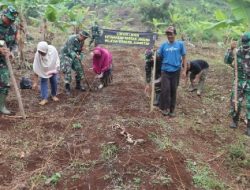 Dukung Ketahanan Pangan Koramil 410-05/TKP Manfaatkan Lahan Tidur Dengan Bertani Jagung