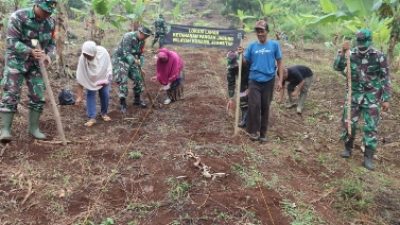 Dukung Ketahanan Pangan Koramil 410-05/TKP Manfaatkan Lahan Tidur Dengan Bertani Jagung