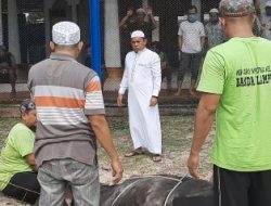 Warga Binaan Bergembira, Lapas Narkotika Kelas IIA Sembelih Delapan Ekor Hewan Kurban