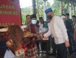 Danbrigif 4 Marinir/BS dan Bupati Pesawaran Serahkan Hewan Kurban ke Masjid Al-Bahri Piabung