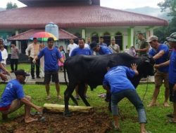 Danbrigif 4 Marinir/BS Saksikan Penyembelihan Hewan Kurban di Halaman Masjid Al- Bahrie