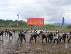 Danbrigif 4 Marinir/BS Tanam Sorgum dan Padi Dukung Program Ketahanan Pangan