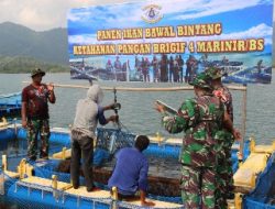 Program Ketahanan Pangan : Kali Ke II Brigif 4 Marinir/BS Panen Ikan Bawal Bintang