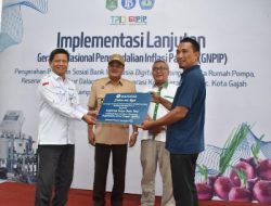 Implementasi Lanjutan Gerakan Nasional Pengendalian Inflasi Pangan, Pilot Project Digital Farming