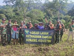Tingkatkan Ketahanan Pangan Satuan Jajaran Kodim 0410/KBL Kembali Bertani Jagung