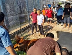 Tingkatkan Pelayanan Prima, Lapas Kelas IIA Kotabumi Laksanakan Layanan Kunjungan Pada Hari Raya Idul Adha 1444H
