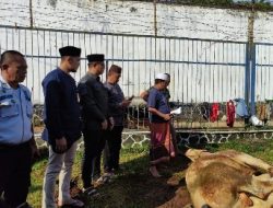 Alhamdulillah, Rutan Sukadana Laksanakan Pemotongan Hewan Kurban Usai Sholat Idul Adha