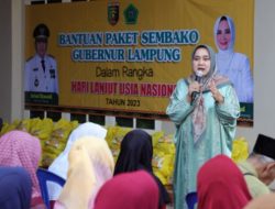 Peringati Hari Lanjut Usia Nasional, Riana Sari Arinal Serahkan Bantuan Sembako ke Masyarakat
