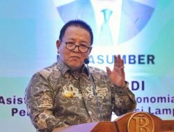 Kontribusi Komoditas Unggulan Lampung Tingkatkan Perekonomian Nasional