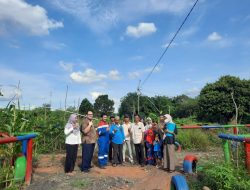 Pertamina Sumbagsel Raih Empat Penghargaan dari Kementrian Lingkungan Hidup dan Kehutanan