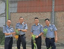 Pertanian Nanas Sukses, WBP Rutan Kotabumi Semakin Semangat Ikuti Pembinaan