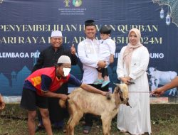 Lapas Kotaagung Rayakan Idul Adha 1445 H, Petugas Laksanakan Sholat Ied dan Sembelih 12 Hewan Kurban Bersama Warga Binaan