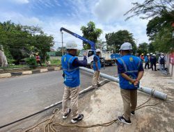 PLN UID Lampung Gerak Cepat Normalkan Pasokan Listrik Akibat Tertimpa Pohon Tumbang