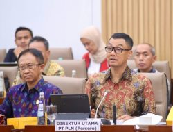 PLN Ajukan Rp 3 Triliun PMN 2025 Untuk Bangun Kelistrikan Daerah Terpencil