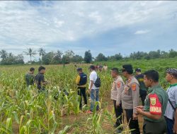 Polisi Benarkan Penemuan Mayat Wanita Dalam Karung di Kebun Jagung Lampung Timur