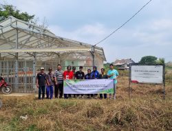 Transformasi Hidroponik Kebun Melanik Farm,  Pertamina Upayakan Langkah Strategis Menghadapi Krisis Panen