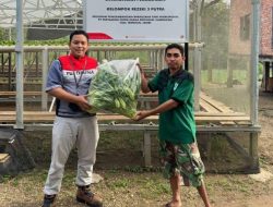 Berkarya Ditengah Keterbatasan: Perjalanan Saiful Wujudkan Mimpi Bersama Pertamina