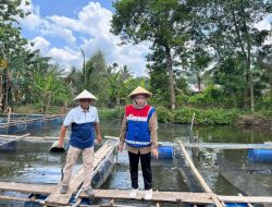 Pertamina Ciptakan Program Budidaya Ikan Air Tawar Berkelanjutan di Kampung Kreatif Sugihwaras