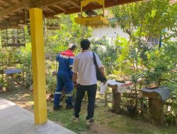 Komitmen Nyata Pertamina Upaya Pelestarian Alam dan Kesejahteraan Masyarakat Melalui Budidaya Lebah Madu Trigona