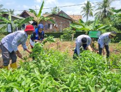 Transformasi Hijau Pertamina, Lahan Bekas Galian Jadi Sumber Pangan dan Produk UMKM