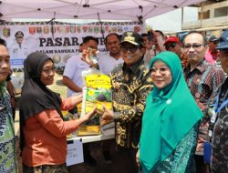 Pj. Gubernur Lampung Pantau Bahan Kebutuhan Pokok di Pasar KTM Mesuji