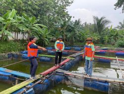 Optimalisasi Manajemen Budidaya Ikan, Pertamina Berikan Pelatihan RSD untuk Kelompok Tani Millenial