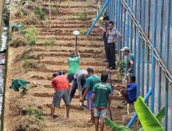 Dukung Program Ketahanan Pangan, Lapas Muara Enim Tingkatkan Produksi Pertanian