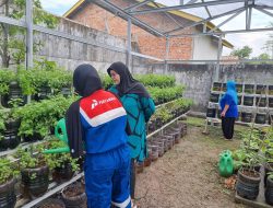 Greenhouse UMKM Sutra, Komitmen Pertamina Wujudkan Ketahanan Pangan dan Pelestarian Lingkungan