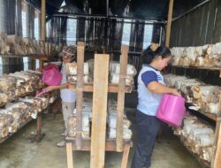 Pertamina Kembangkan Keterampilan Warga Binaan LPP Kelas II Bengkulu Melalui Budidaya Jamur Tiram