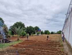 Maksimalkan Akselerasi Program Ketahanan Pangan, Lahan Lapas Muara Enim Kini Masuk ke Tahap Pembalungan