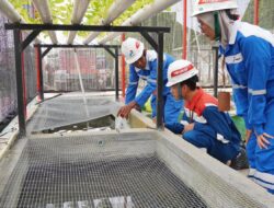 Melalui Program Ecolivestock, Pertamina Berhasil Raih Penghargaan Kategori Utama Sebagai Langkah Menuju Ekonomi Hijau