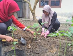 Kalapas Meita Eriza Bersama Pegawai Lapas Perempuan Pangkalpinang Laksanakan Gotong Royong Menanam Berbagai Tanaman Pangan