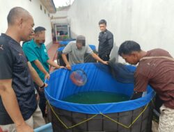 Lapas Kelas III Pagar Alam Tebar 2.500 Ekor Benih Ikan Lele di Kolam Bioflok Baru