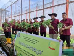 Wujudkan Ketahanan Pangan, Lapas Muara Enim  Panen Raya Sayur Kangkung Hasil Budidaya Warga Binaan