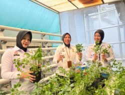 Sukseskan Program Ketahanan Pangan, Lapas Perempuan Pangkalpinang Lakukan Panen Raya dan Penyerahan Bansos Serentak