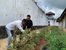 Dukung Ketahanan Pangan, Warga Binaan Rutan Sukadana Panen Tomat Rampai