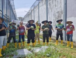 Kalapas Mukhlisin Fardi Beserta Jajaran Laksanakan Panen Raya Buah Semangka