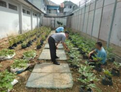 Rutan Kotabumi Konsisten Wujudkan Program Ketahanan Pangan