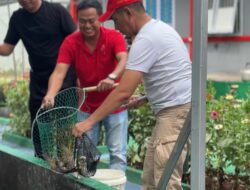 Sukses Dalam Ketahanan Pangan, Lapas Kotabumi Panen Raya Ikan Lele Hasil Budidaya Warga Binaan