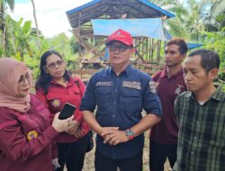 Pengawasan IG Produk Unggulan Desa Tuana Tuha, Kanwil Kemenkum Kaltim Pantau Lokus Budidaya Produk Guleku