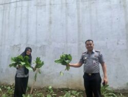 Karutan Kota Agung Beserta Jajaran Bagikan Hasil Panen Sayuran Kepada Masyarakat