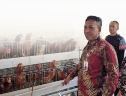Kalapas Iwan Setiawan Kontrol Area Bimbingan Kerja Lapas Kelas IIB Ngawi